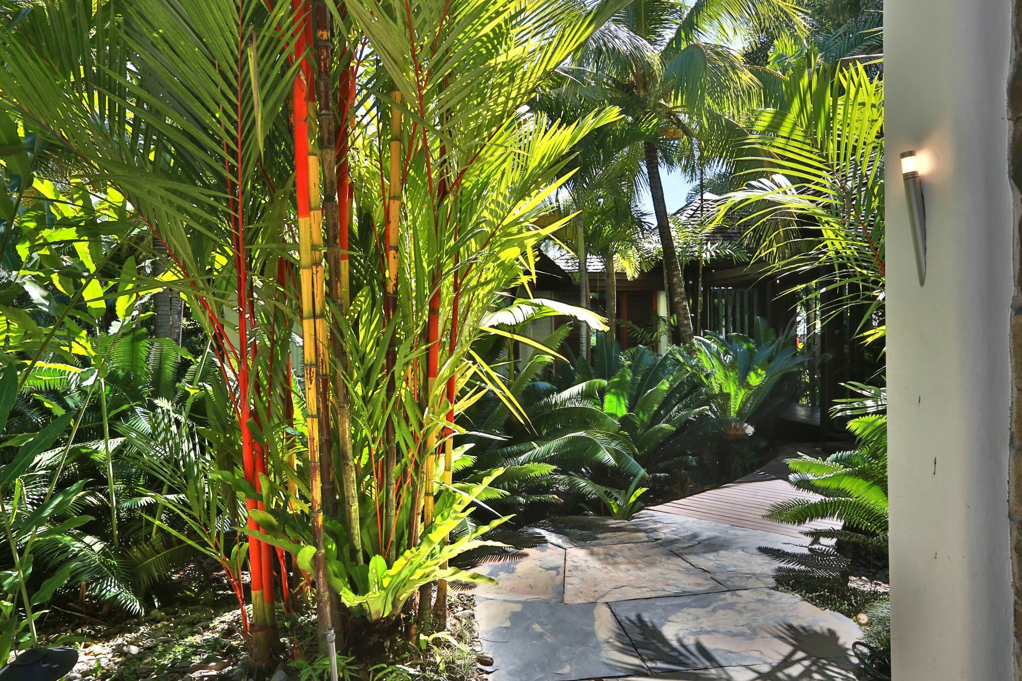 17 Wharf Street Apartment Port Douglas Exterior photo